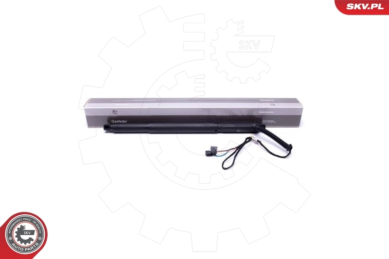 Electric Motor, tailgate